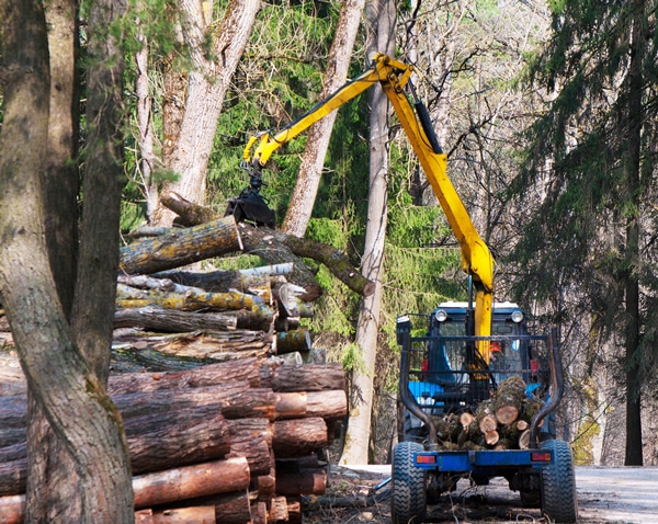 Forestry equipment global manufacturerselects Annata for company-wide digitization