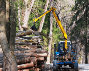 Forestry equipment global manufacturer selects Annata for company-wide digitization