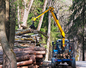 Forestry equipment global manufacturer - Europe - company-wide digitization - Success story