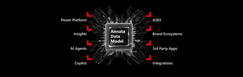 Progress update: June 2025 AI consulting, Annata Data Model, and what’s next 6